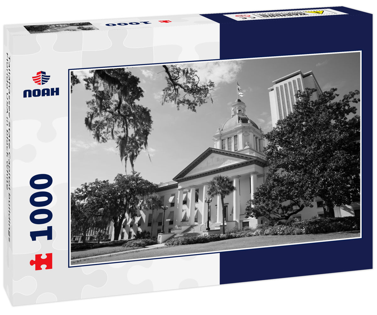 Tallahassee State Capitol buildings Florida USA in black white