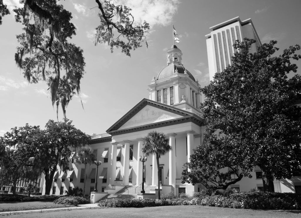 Tallahassee State Capitol buildings Florida USA in black white