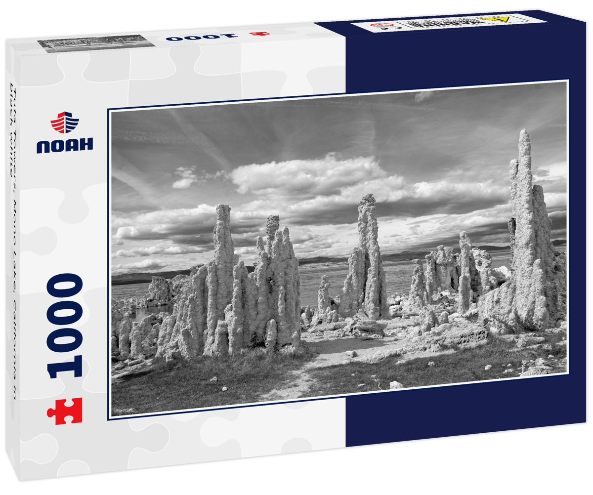 Tufa Towers, Mono Lake, California in black white