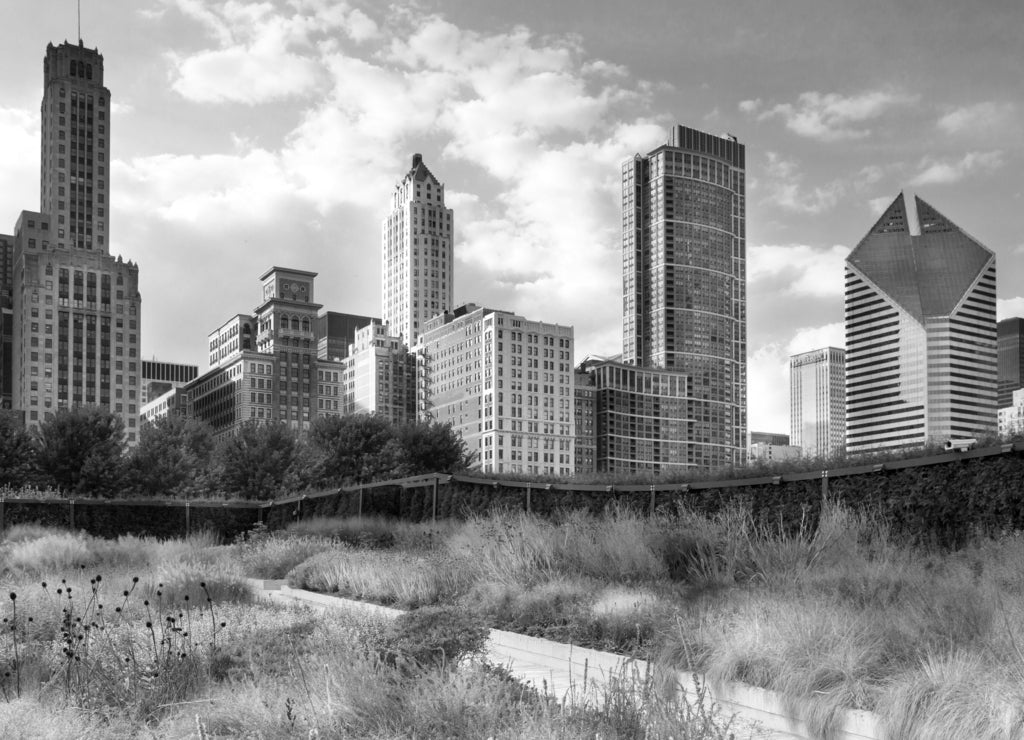 Low angle view of skyscrapers in a city, Chicago, Cook County, Illinois in black white