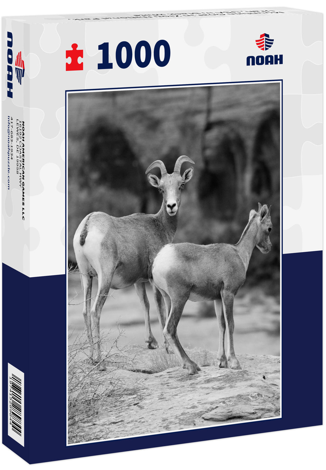 Mountain Goat in Zion National Park, Utah, USA in black white