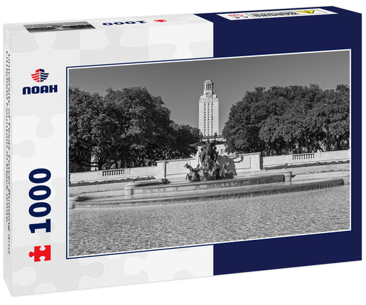 University of Texas Tower Building and Littlefield Fountain in black white