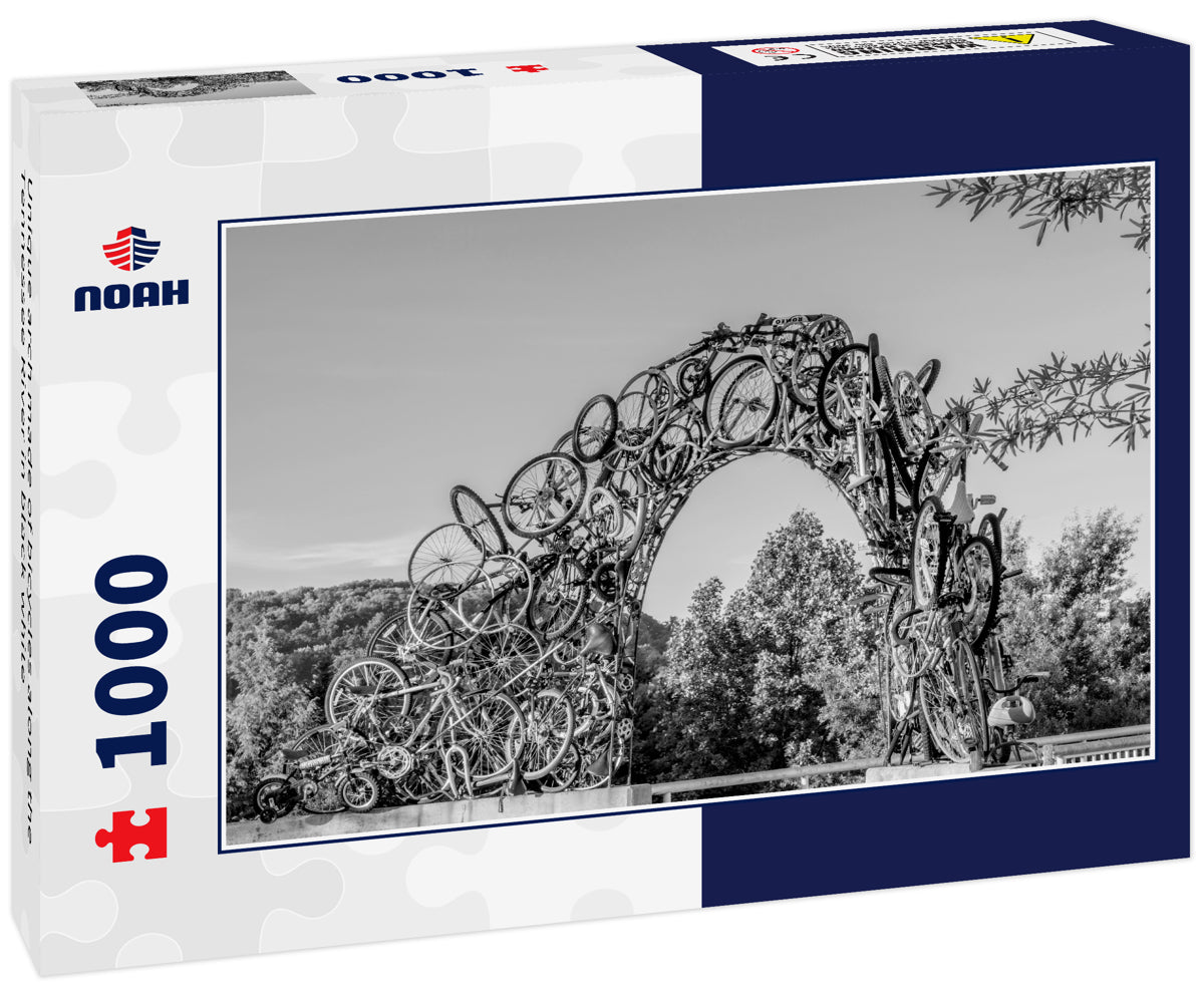 Unique arch made of bicycles along the Tennessee River in black white