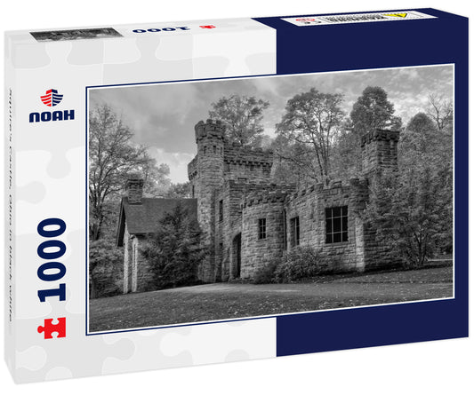 Squire's Castle, Ohio in black white