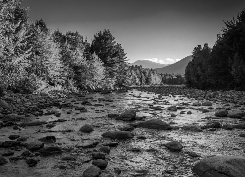 Autumn color along the Peabody River in White Mountain National Forest, New Hampshire in black white