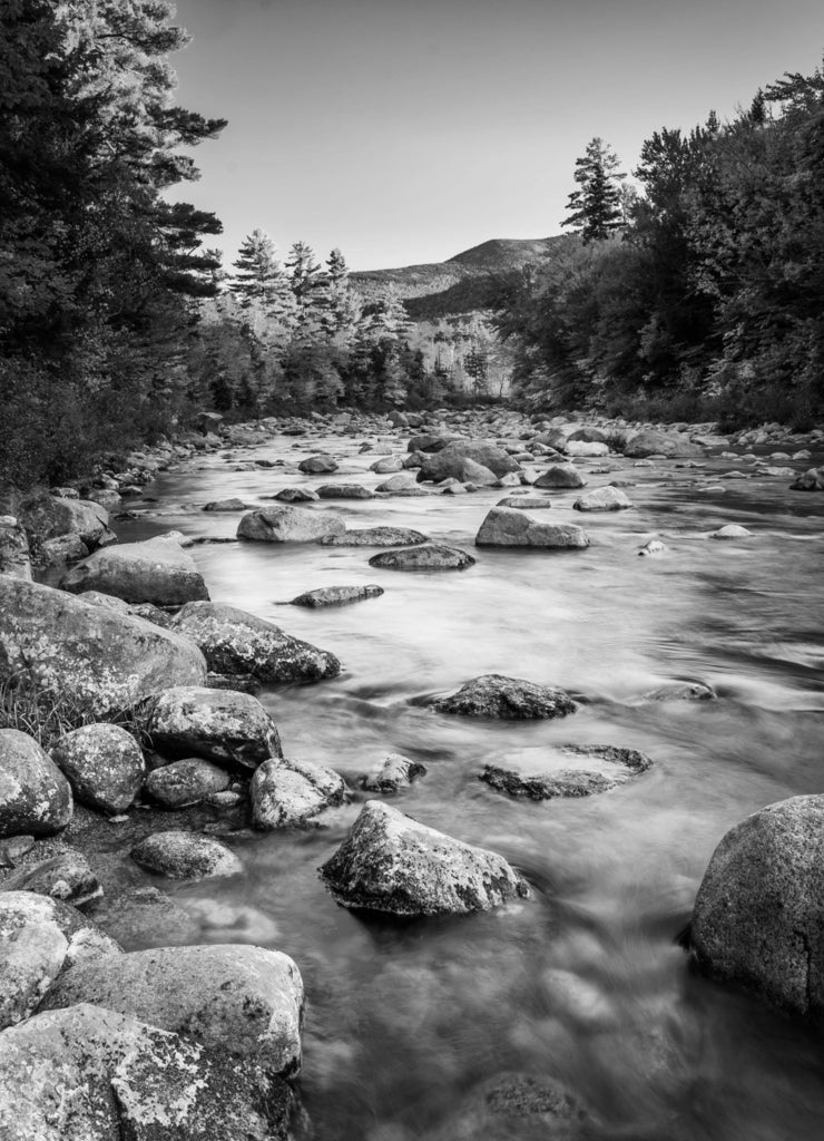 Autumn color along the Swift River, along the Kancamagus Highway, New Hampshire in black white