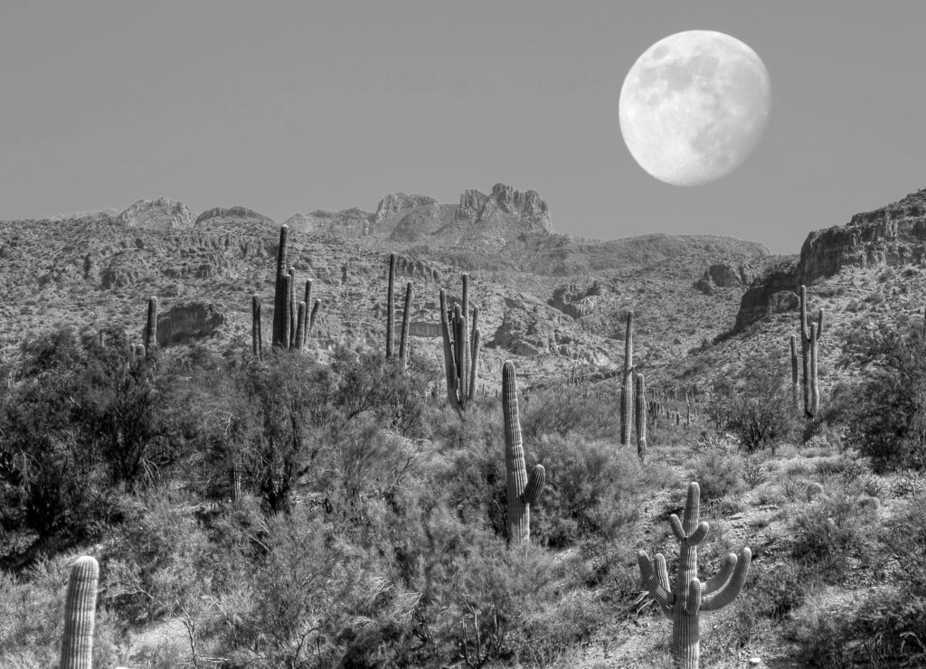 Desert Moon, New Mexico in black white