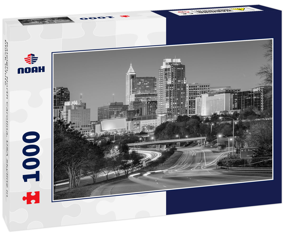Raleigh, North Carolina, USA Skyline in black white