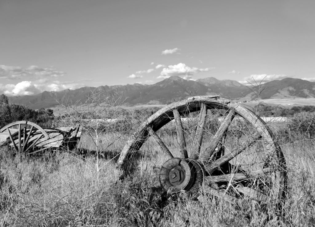 Abandoned long ago, this broken and discarded wagon, sits overgrown with weeds in Paradise Valley, Montana. Wagon faces the Absaroka Mountains in black white