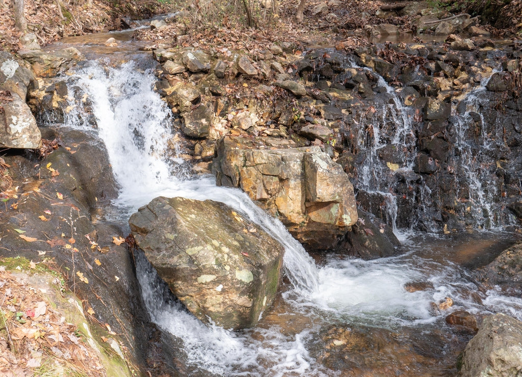 A stream flowing through the forest in Calhoun County, Alabama, USA