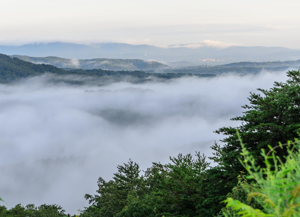 Fog in the valley below a scenic overlook along the skyway motorway in the Talladega National Forest, Alabama, USA