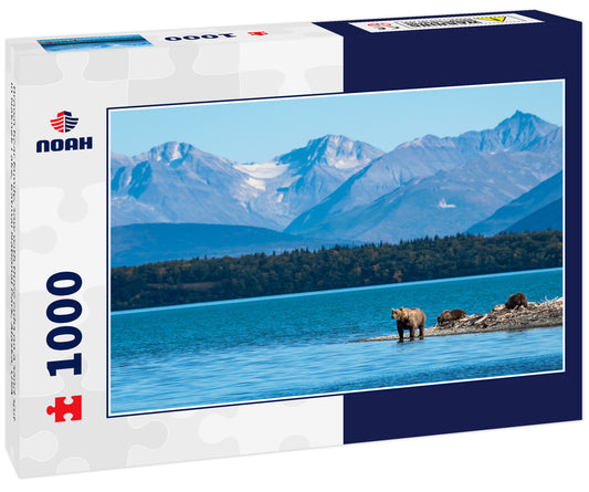 Brown bear family, sow with three cubs on a sand spit in Naknek Lake, Katmai National Park, Alaska, USA