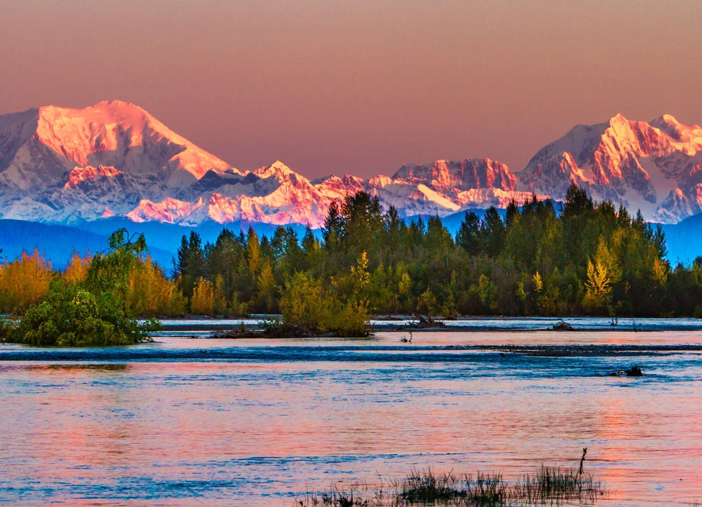 Sunrise on Mt Foraker and Mt Hunter accross the Susitna river with fall foliage. Mount Foraker is a 17,400-foot mountain in the central Alaska Range