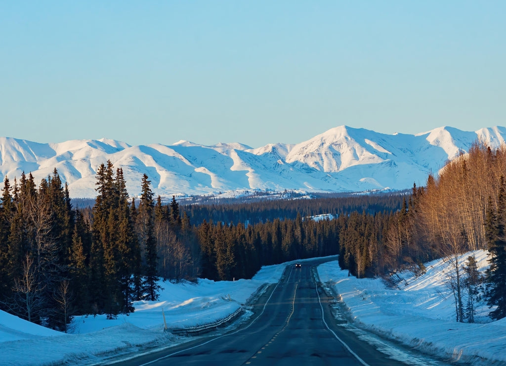 Afternoon landscape in Denali National Park and Preserve