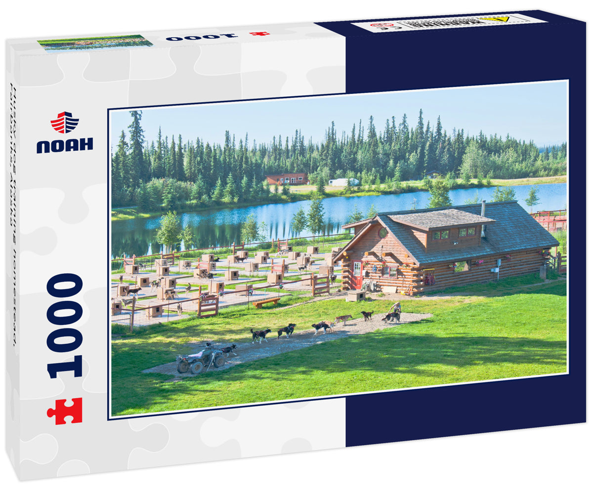 Husky dog training homestead, Fairbanks, Alaska