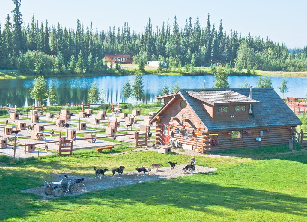 Husky dog training homestead, Fairbanks, Alaska