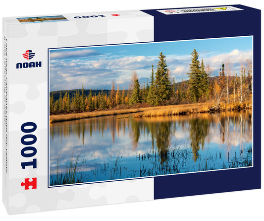 Lake near Fairbanks with dry yellow grass reflecting in water