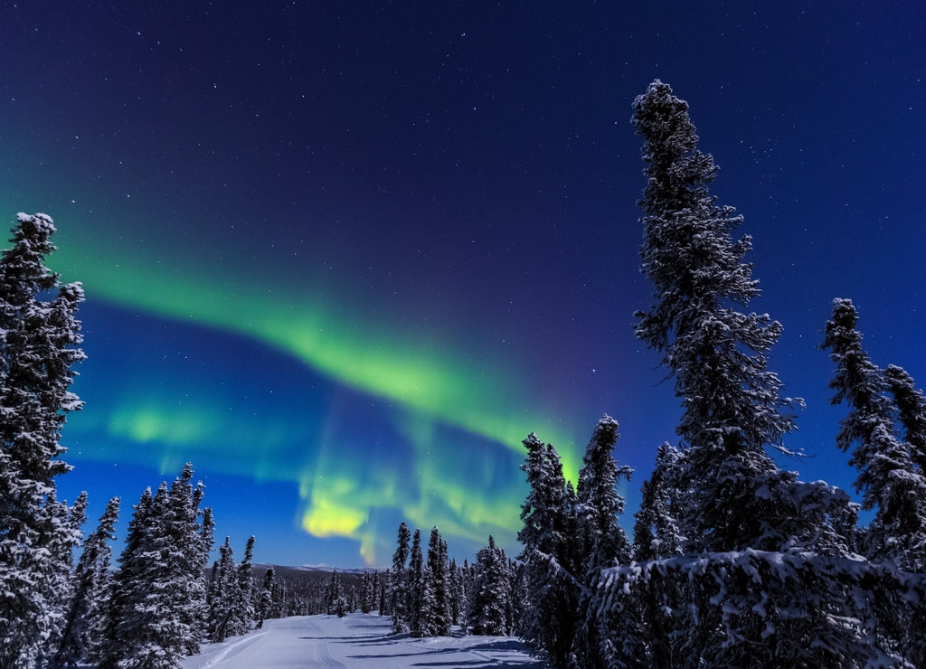 Aurora borealis, Northern Lights near Fairbanks, Alaska