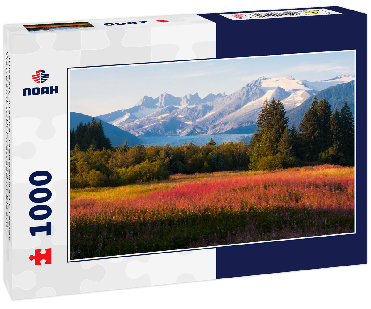 Juneau, Alaska. Mendenhall Glacier Viewpoint with Fireweed in bloom