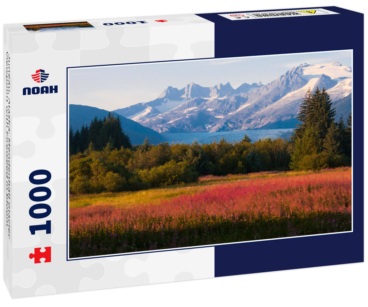 Juneau, Alaska. Mendenhall Glacier Viewpoint with Fireweed in bloom