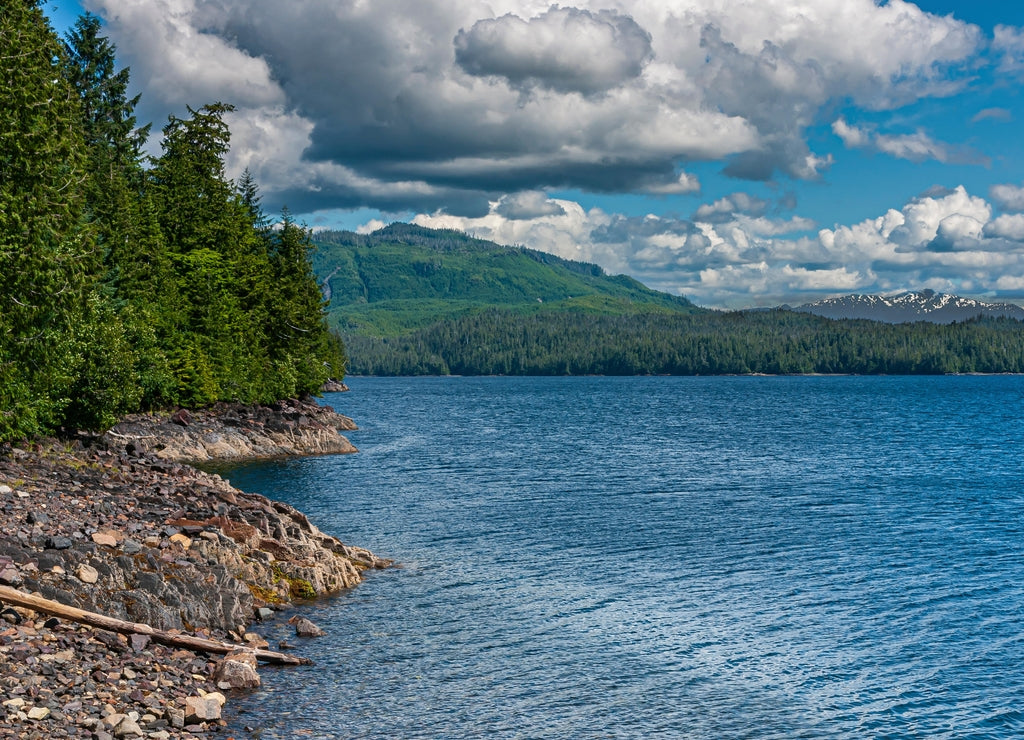 Ketchikan, Alaska, USA: Landscape, dense green forest above brown rocky shoreline along Tongass Narrows under cloudscape. Mountains on horizon and blue ocean water up front