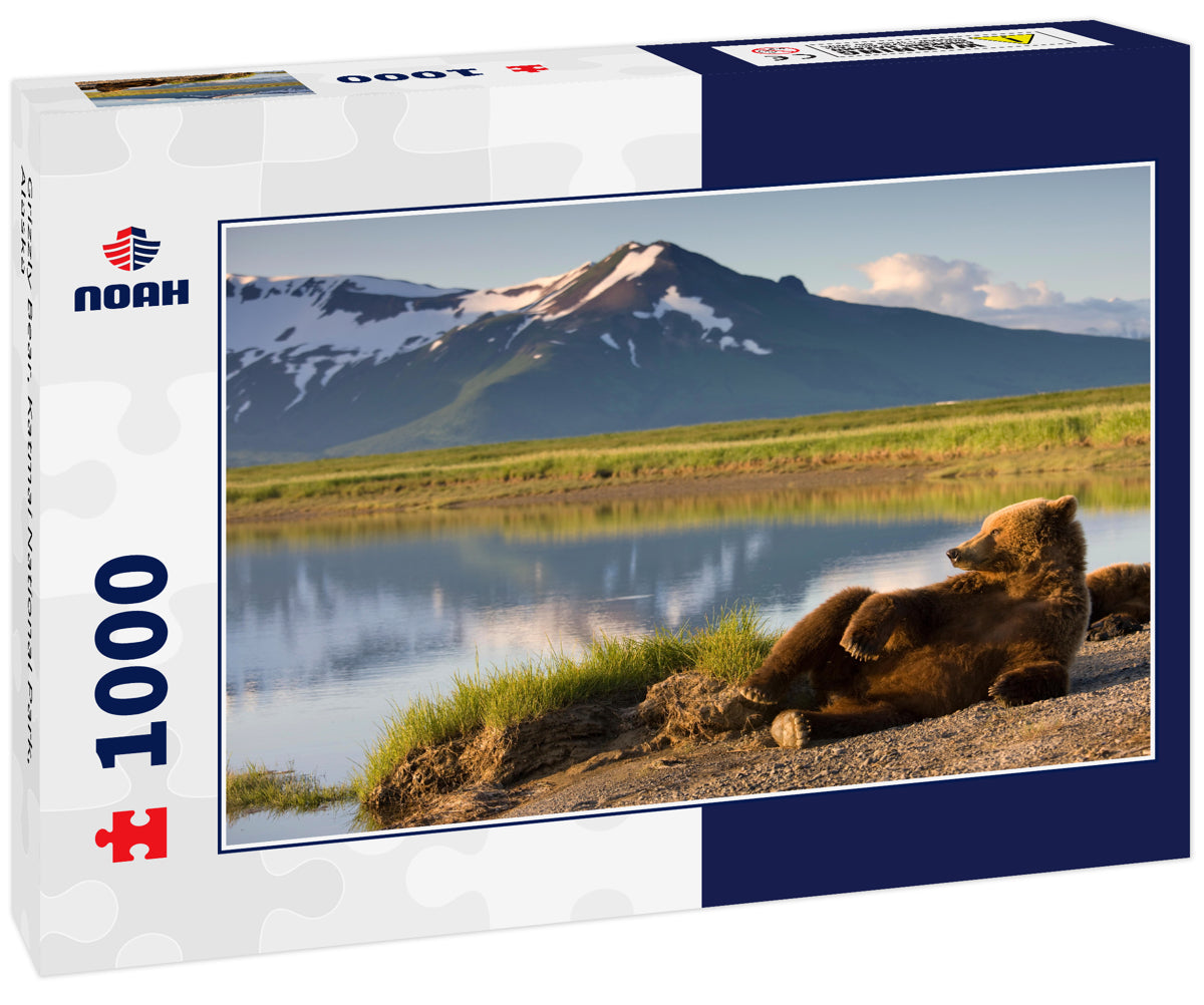 Grizzly Bear, Katmai National Park, Alaska