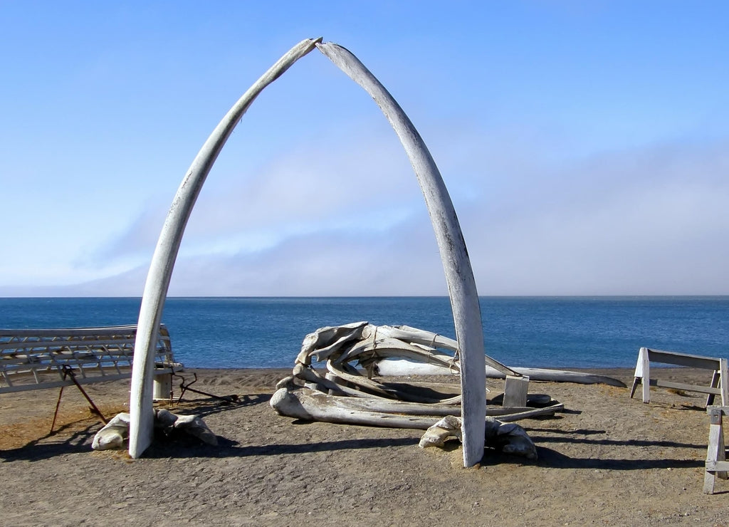 The iconic whale bone arch next to the arctic sea on a sunny summer day in the far north of barrow, alaska