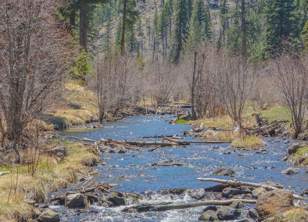 View of the high altitude, Little Colorado River in Greer, Apache County, Arizona