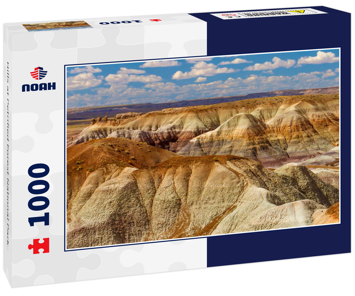 Hills at Petrified Forest National Park