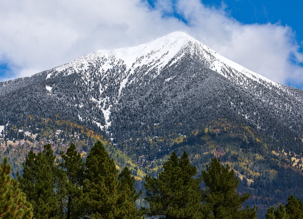 The San Francisco Peaks in Flagstaff, Arizona