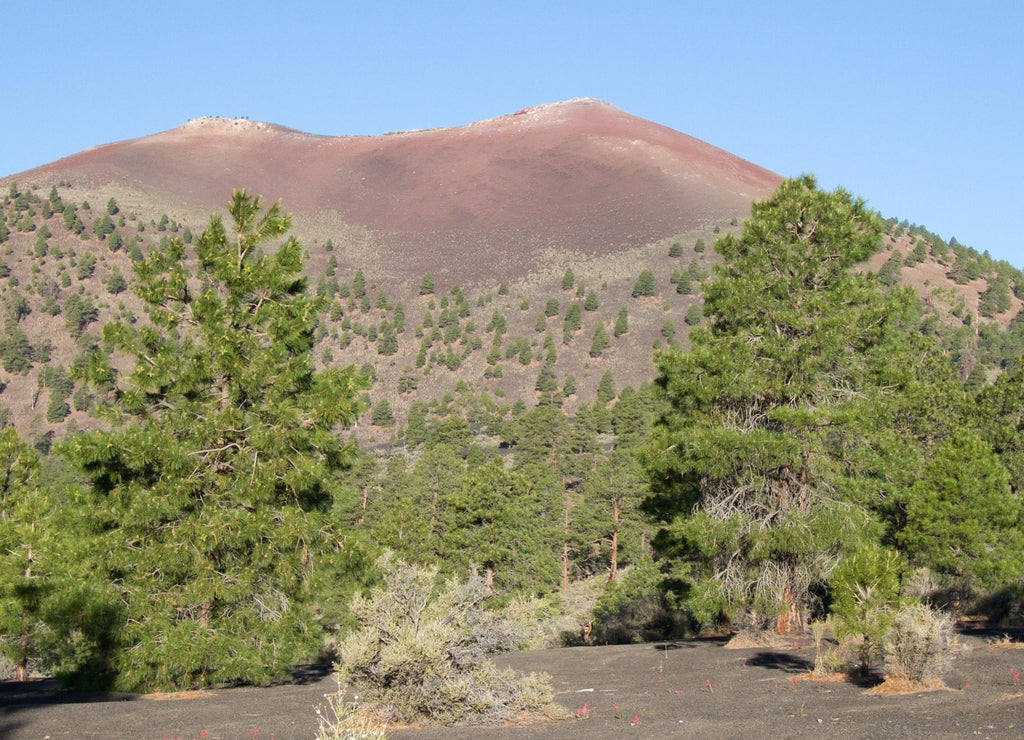Sunset Crater Volcano National Monument near Flagstaff, Arizona
