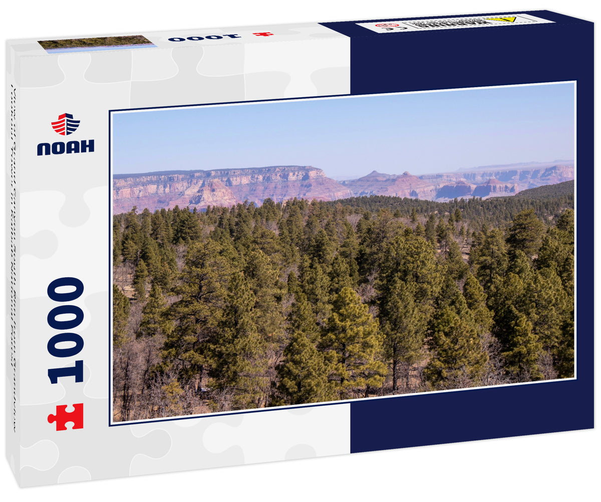 View of Grand Canyon South Rim from Grandview Lookout Tower in Kaibab National Forest