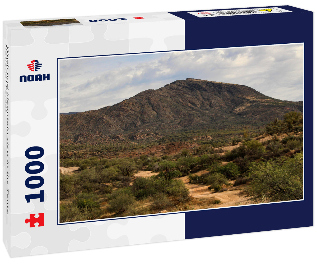 Wash and Mountain view in the Tonto National Forest