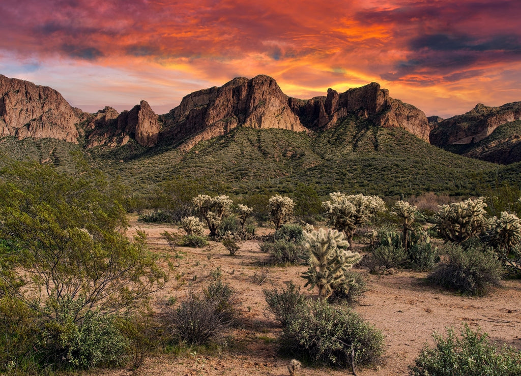 Tonto National Forest Sunset