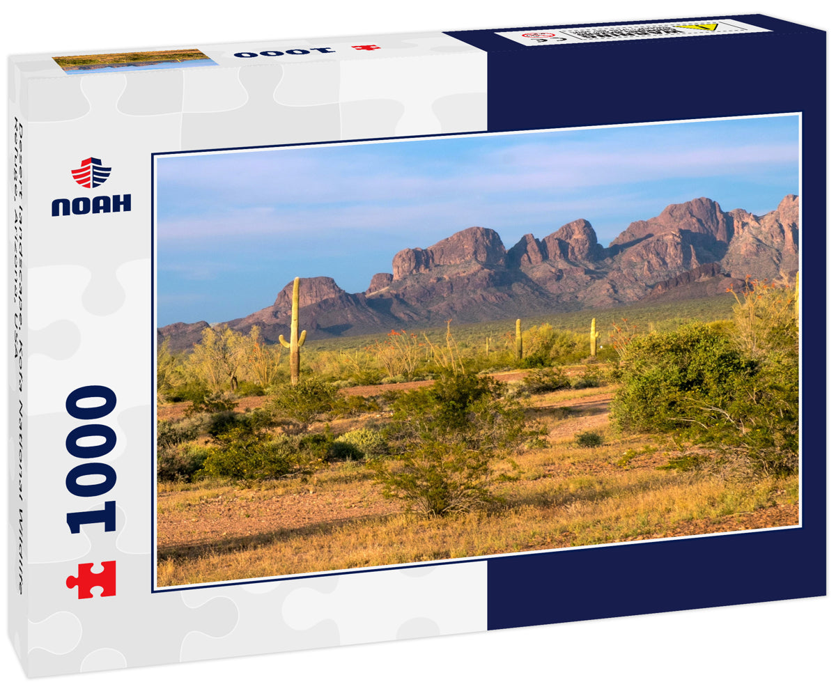 Desert landscape, Kofa National Wildlife Refuge, Arizona, USA