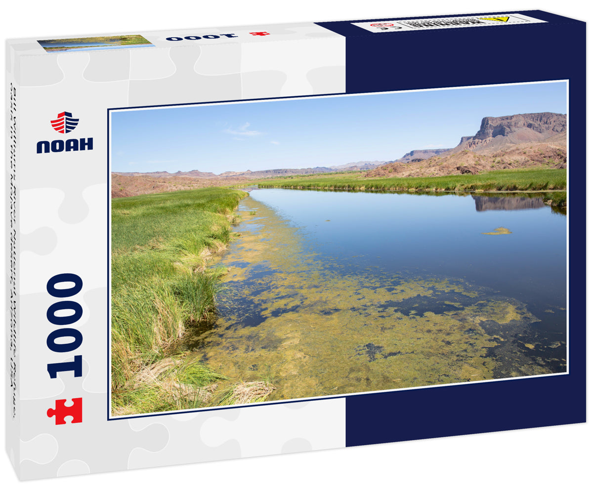 Bill Williams River National Wildlife Refuge, oasis in the Mojave desert, Arizona, USA