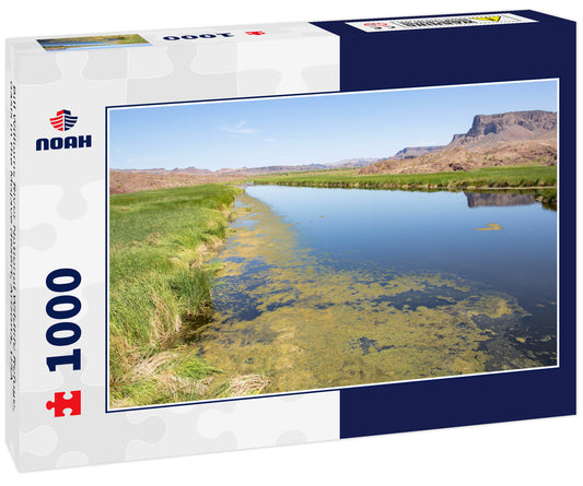 Bill Williams River National Wildlife Refuge, oasis in the Mojave desert, Arizona, USA