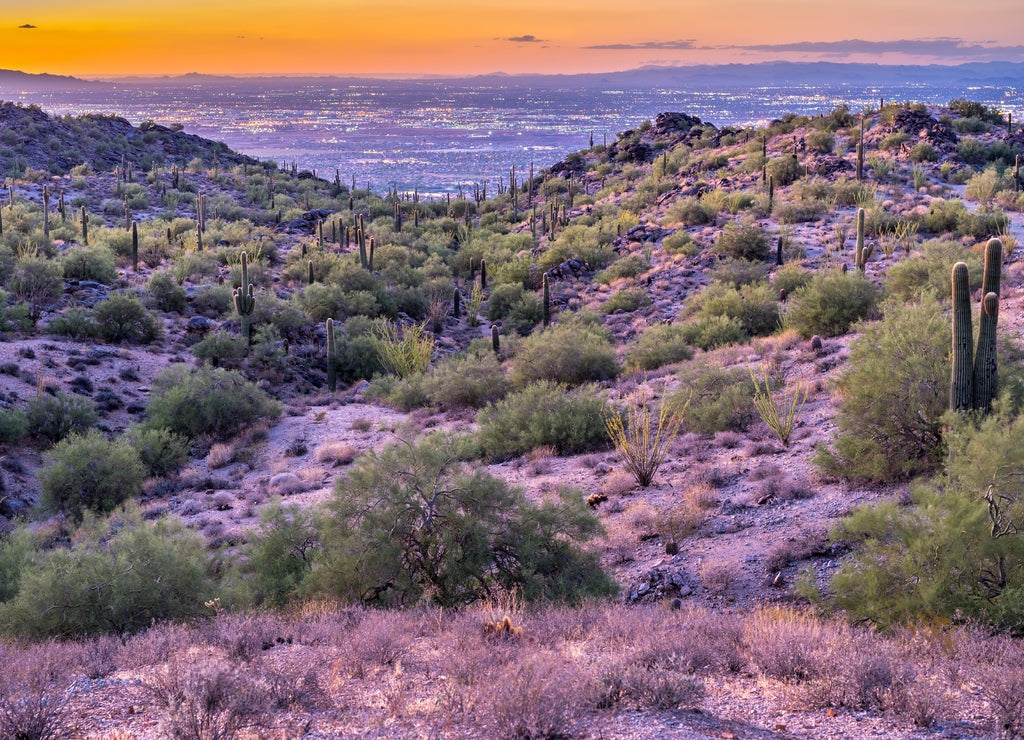 Greater Phoenix after Sunset