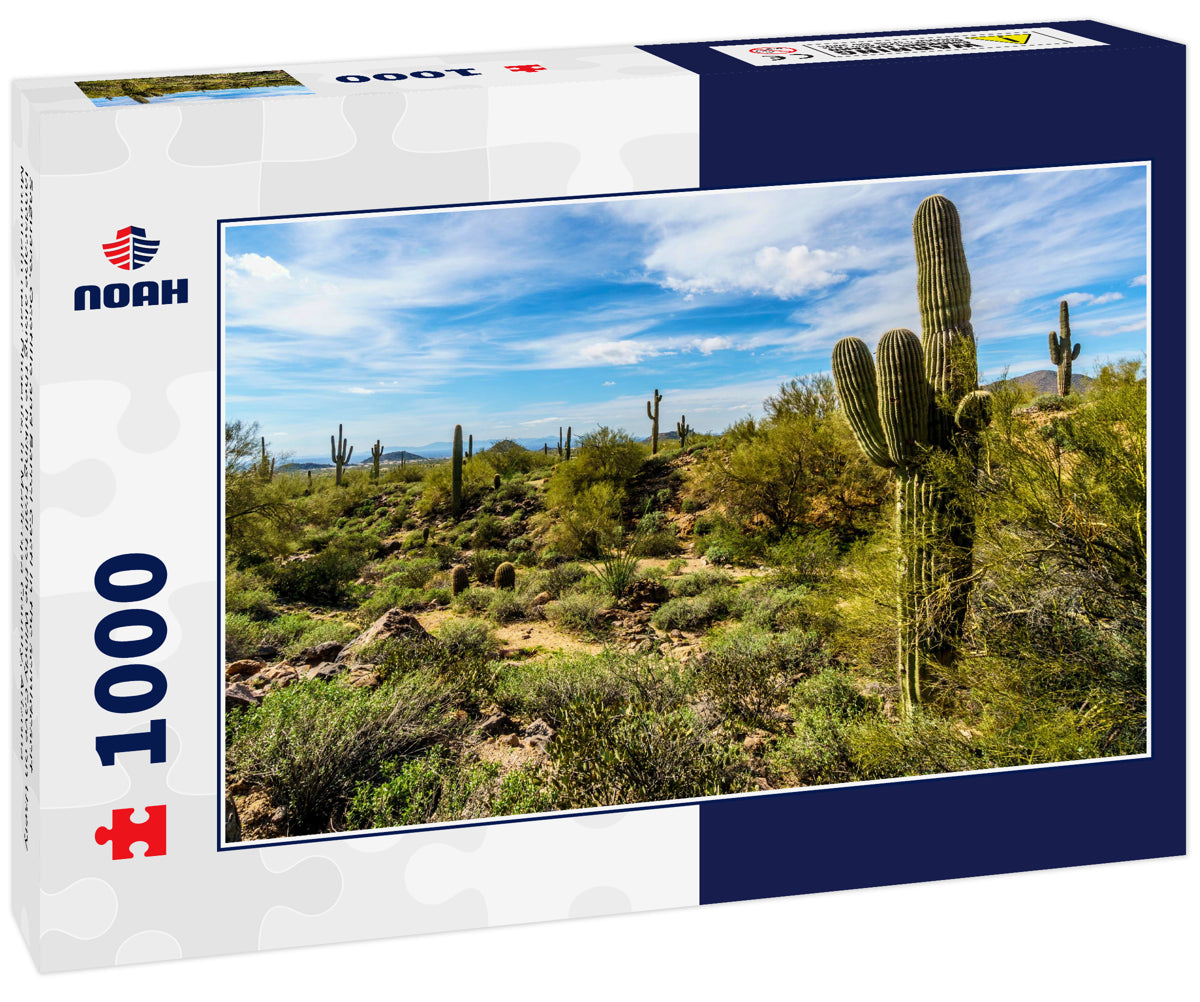 Saguaro, Ocotillo and Barrel Cacti in the semidesert landscape along the hiking trail to the Windy Cave on Usery Mountain near Phoenix, in Maricopa County, Arizona