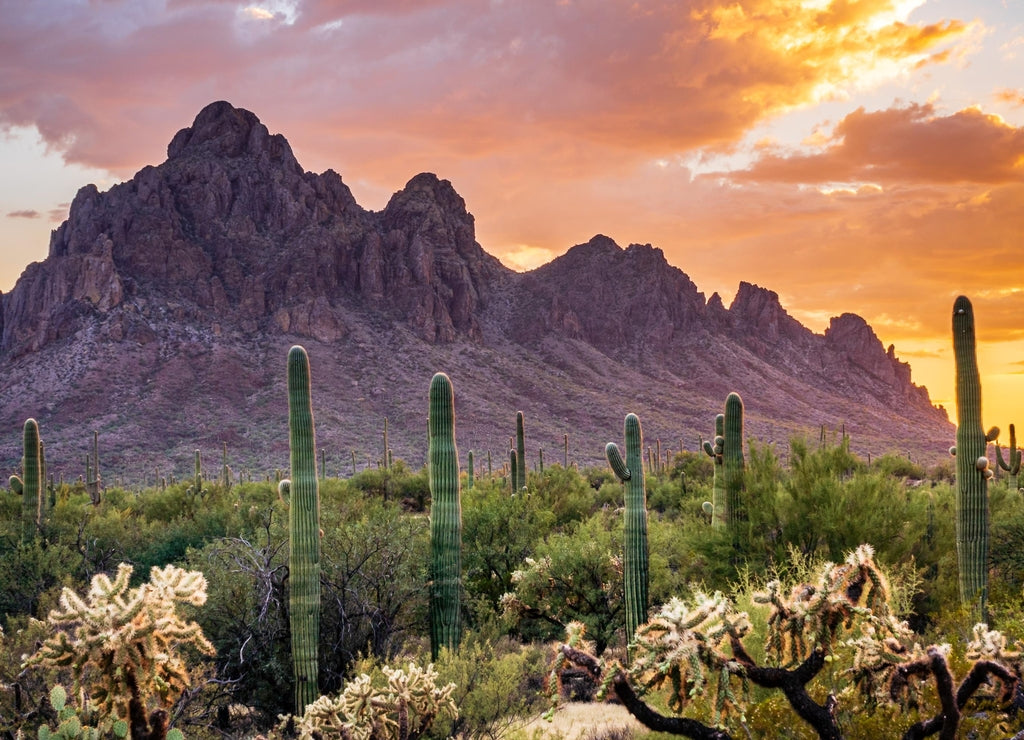 Desert sunset over jagged mountain peaks