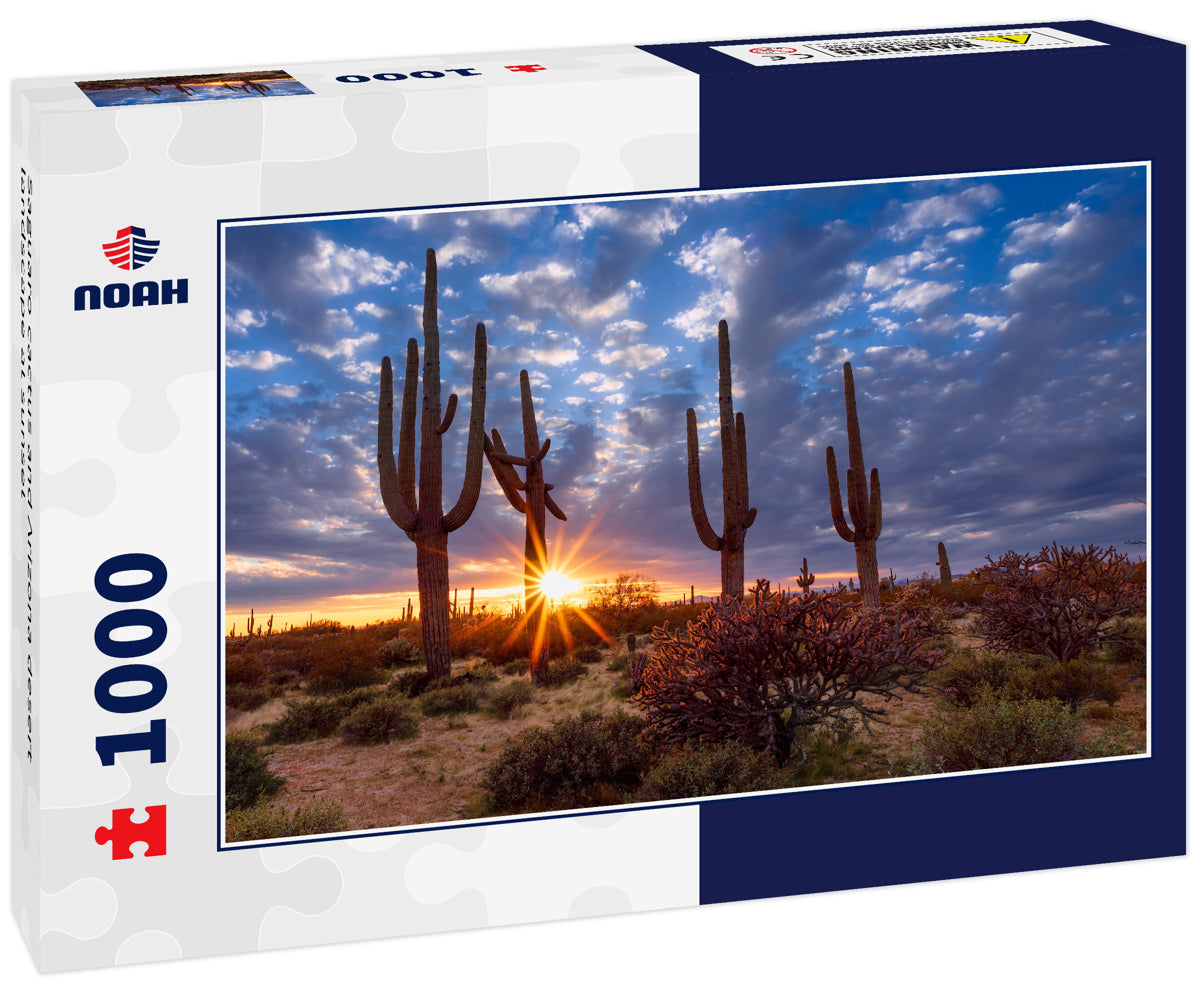 Saguaro cactus and Arizona desert landscape at sunset