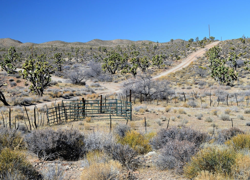 Desolate entrance onto a dirt desert road in the community of Dolan Springs, Mohave County Arizona