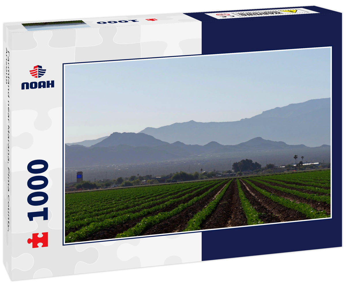Farmland near Marana, Pima County, Arizona