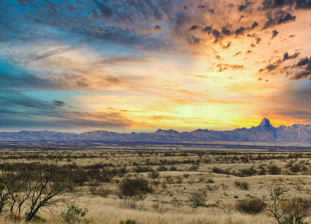 The Sonoran Desert grassland of Buenos Aires National Wildlife Refuge, Arizona, USA. Vivid sunset over the Baboquivari Mountains and the iconic Baboquvari Peak