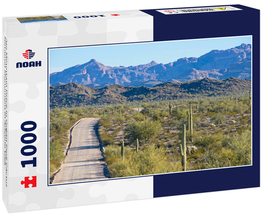 Ajo Mountain Drive in Organ Pipe Cactus National Monument in Arizona USA