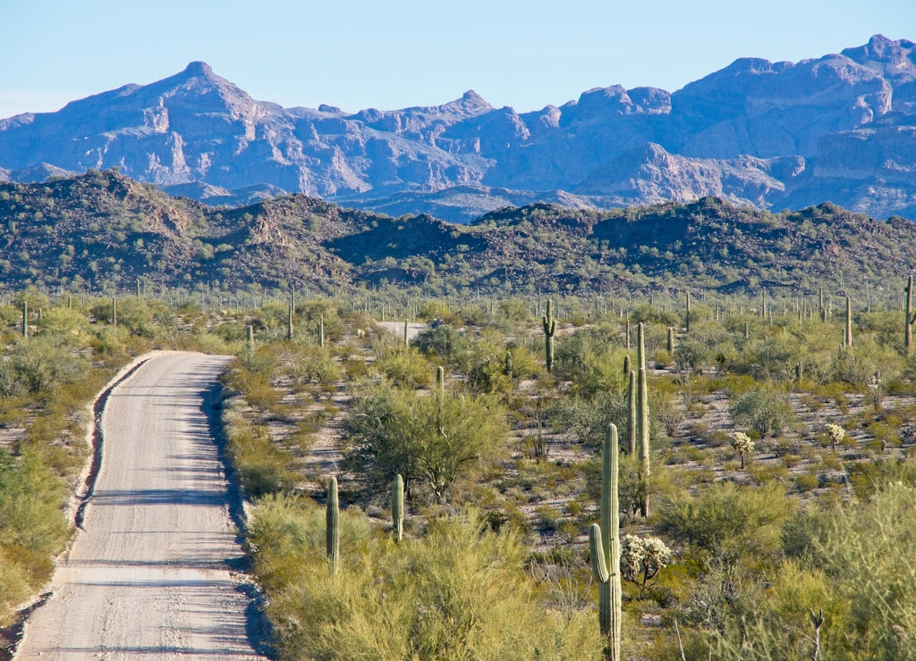 Ajo Mountain Drive in Organ Pipe Cactus National Monument in Arizona USA