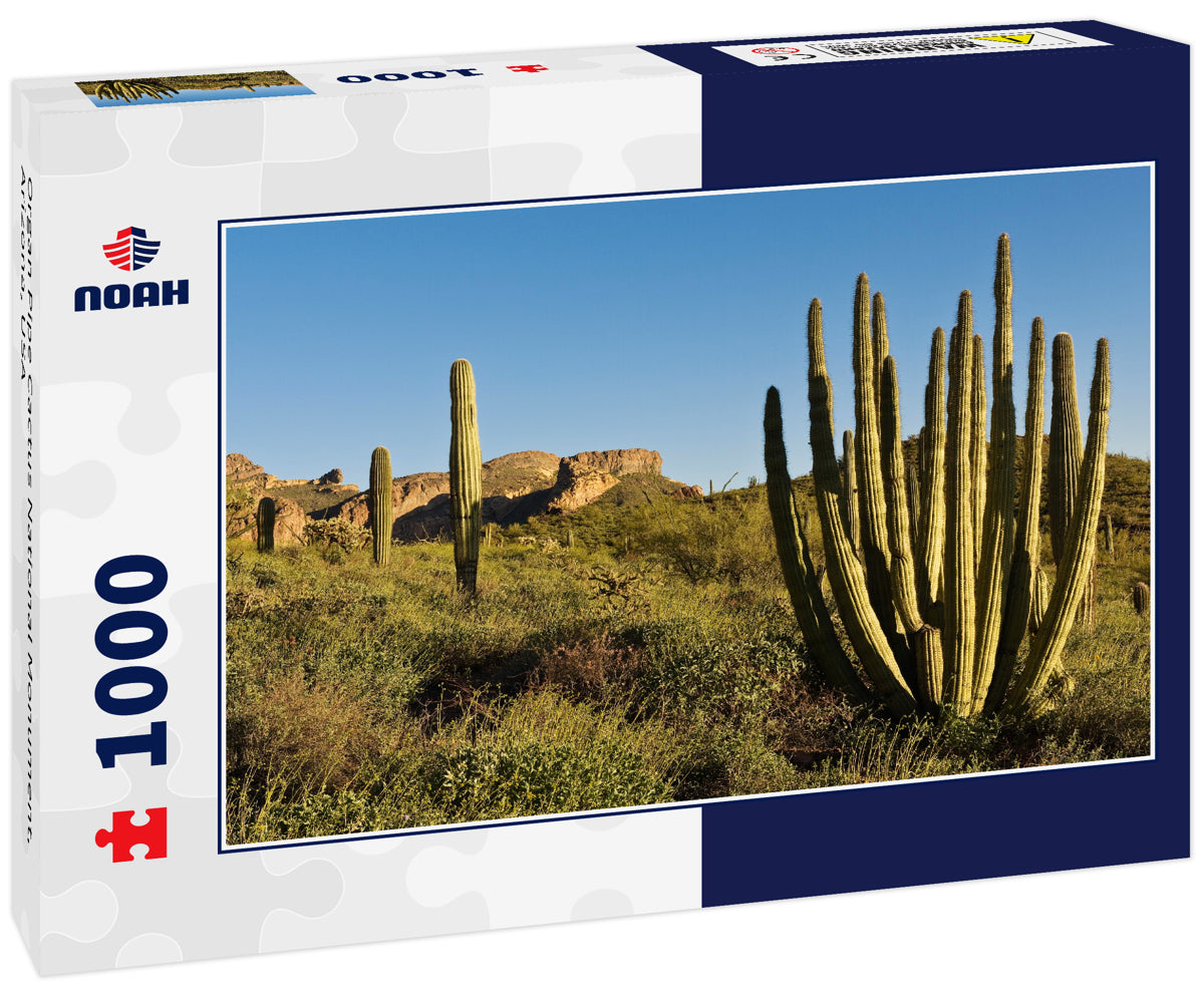 Organ Pipe Cactus National Monument, Arizona, USA