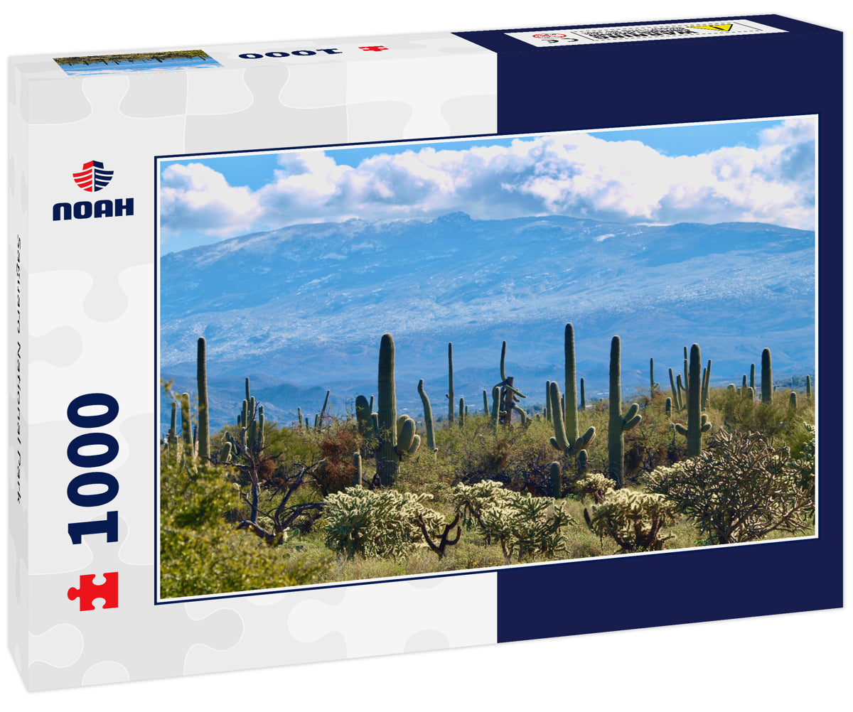 Saguaro National Park