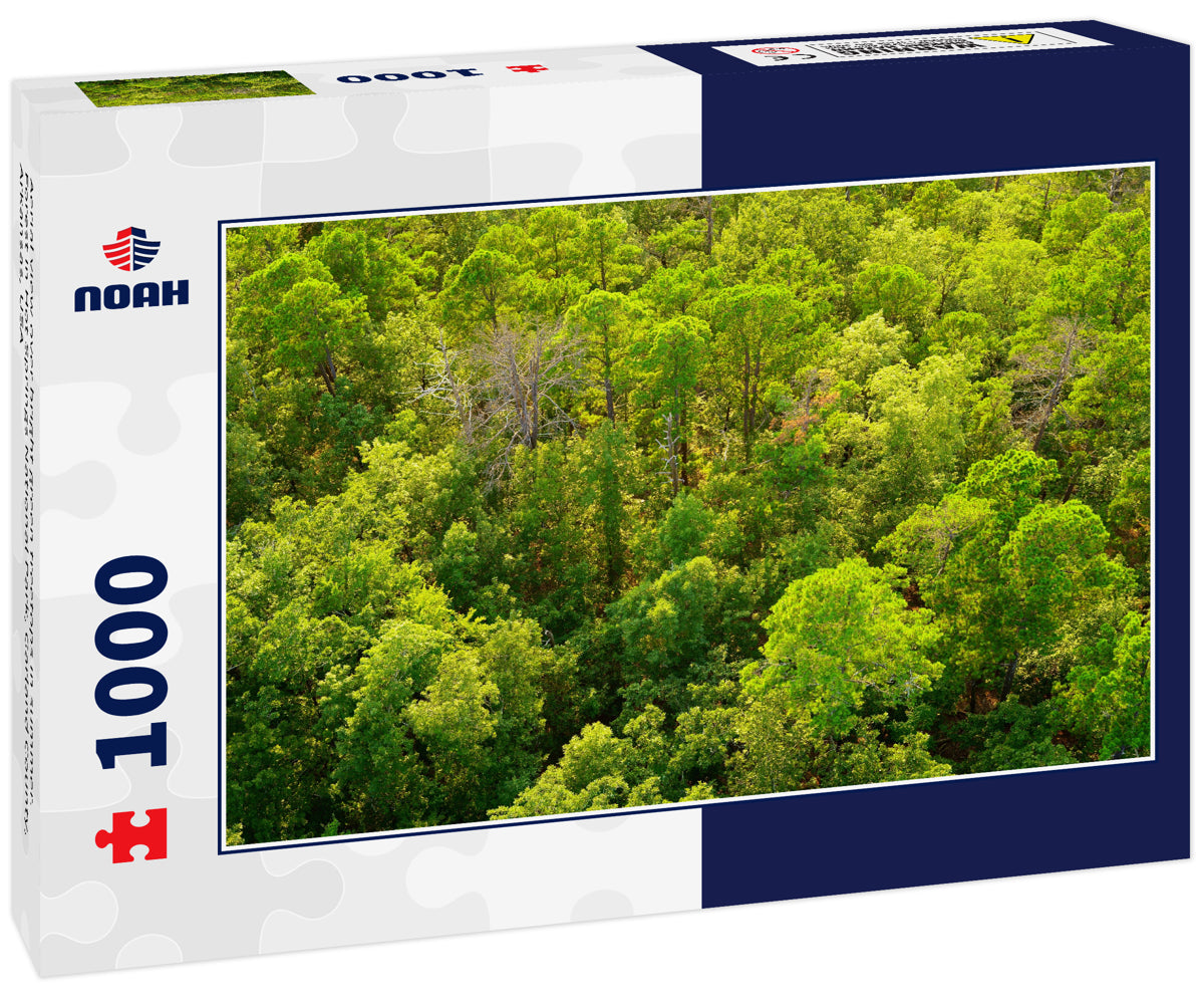 Aerial view over bright green treetops in summer. Forest in Hot Springs National Park, Garland County, Arkansas, USA