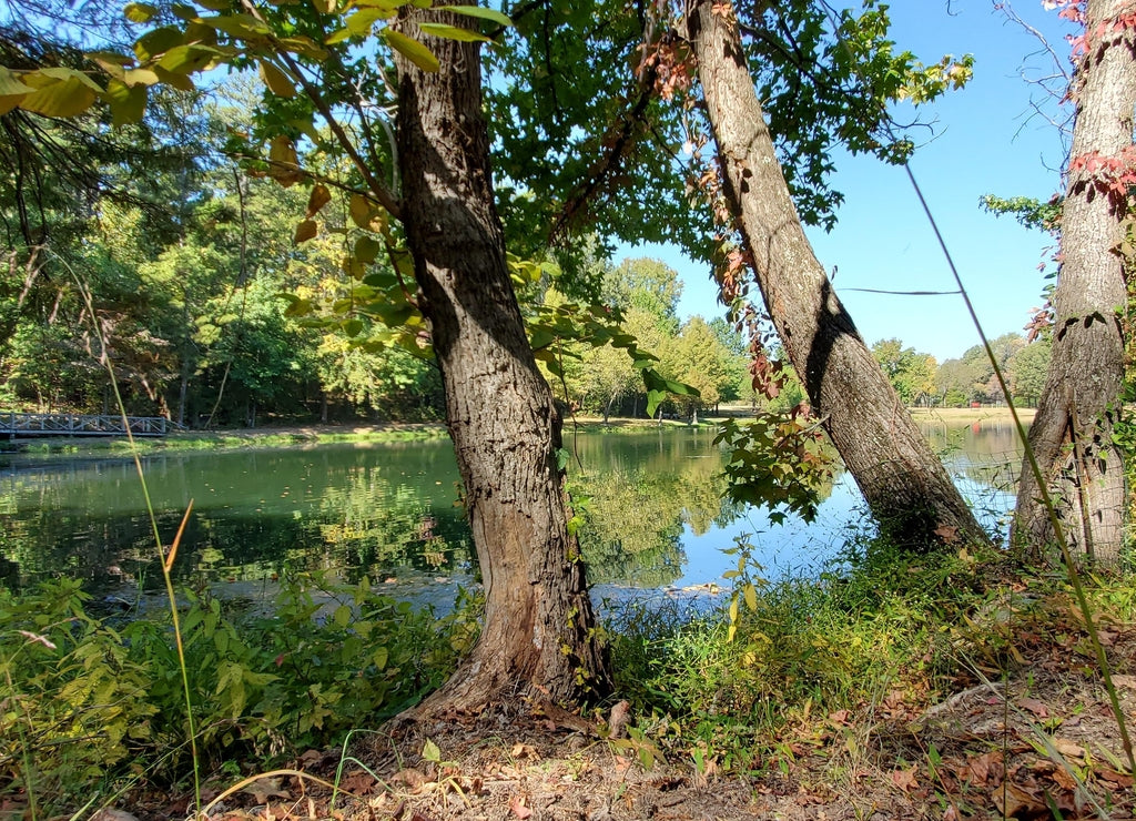 Lake Ponder Trail, Crowley's Ridge State Park, Greene County, Arkansas